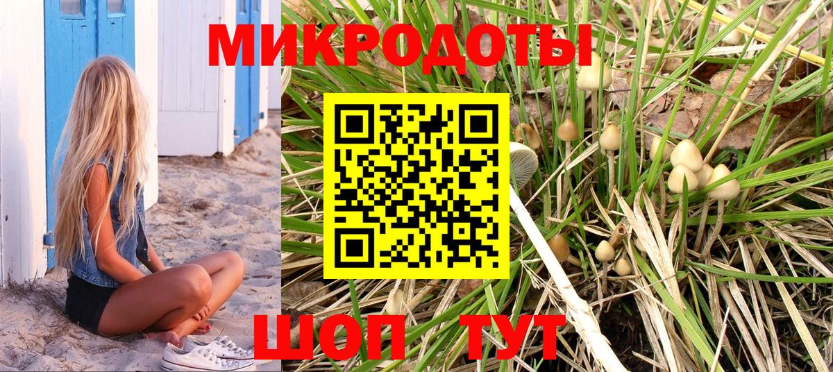 Псилоцибиновые грибы MAGIC MUSHROOMS  Псилоцибиновые грибы GOLDEN TEACHER  Электрогорск  Вход с VPN 