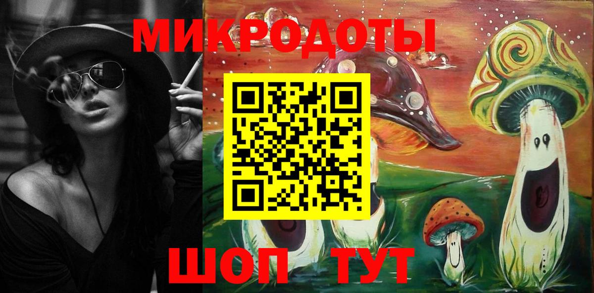 Галлюциногенные грибы Psilocybe Электрогорск